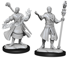 Half Elf Wizard - Male WZK90229 - D&D Nolzur's Marvelous Miniatures
